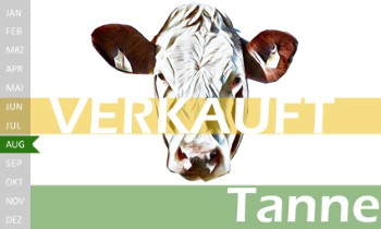 tr�chtige Fleckvieh Kalbin zu verkaufen, beweidet und ruhig